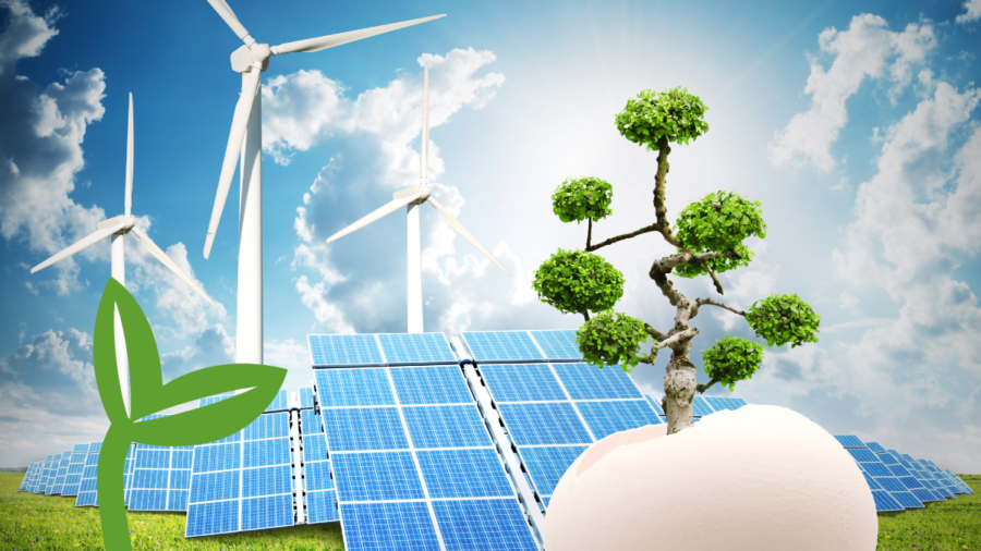 Zrównoważony rozwój przedsiębiorstw – aktualne źródła wsparcia finansowego